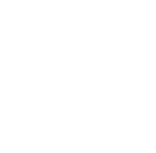 France 2030 Logo